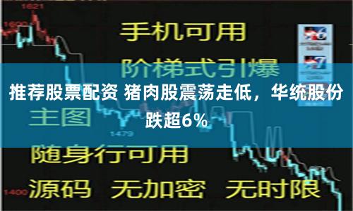 推荐股票配资 猪肉股震荡走低，华统股份跌超6%