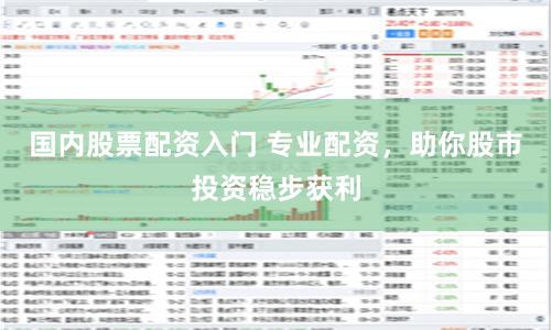 国内股票配资入门 专业配资，助你股市投资稳步获利